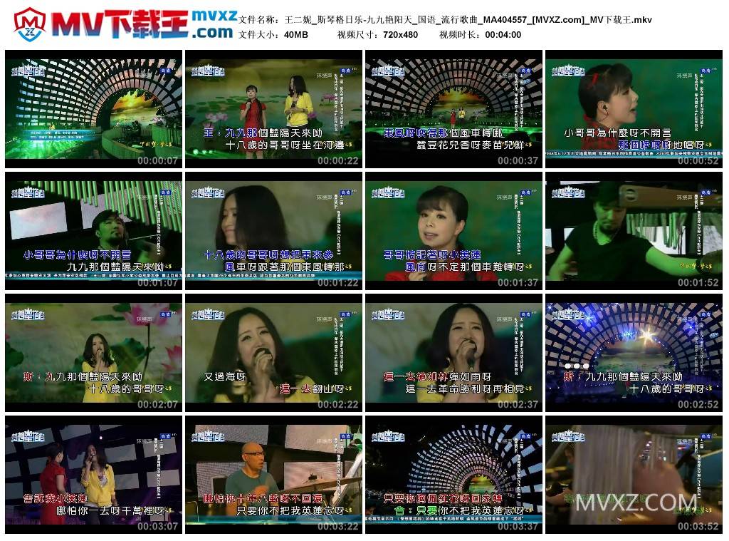 王二妮_斯琴格日乐-九九艳阳天_国语_流行歌曲_MA404557